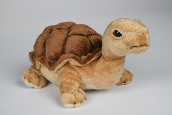 Plüsch Landschildkröte 19cm